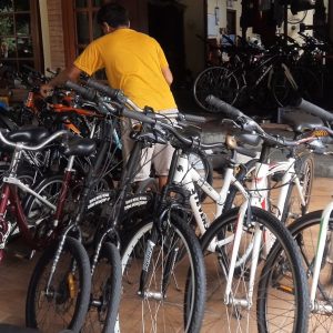 Tempat Sewa Sepeda di Borobudur